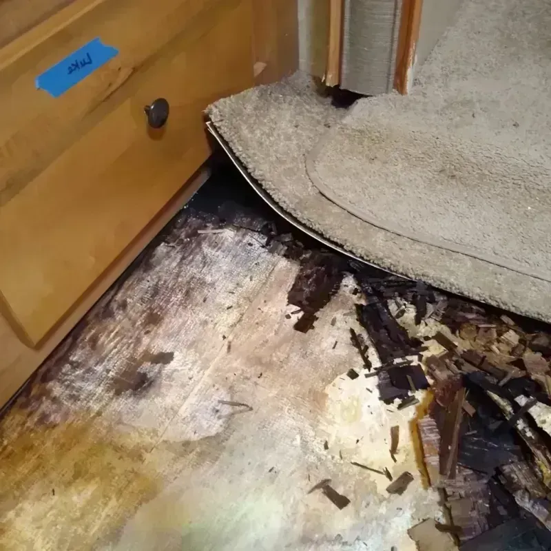 Wood Floor Water Damage in Beaver City, NE